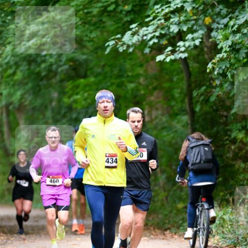 11.10.2026 - Bramfelder Halbmarathon 2026 Dr. Thomas Lammeyer http://msf.ph/oto/10816157 11.10.2026 09:51:54 Laufen 460, 434 meine-sportfotos.de