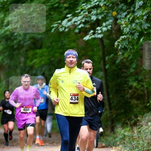 11.10.2026 - Bramfelder Halbmarathon 2026 Dr. Thomas Lammeyer http://msf.ph/oto/10816161 11.10.2026 09:51:55 Laufen 460, 434 meine-sportfotos.de