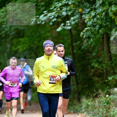 11.10.2026 - Bramfelder Halbmarathon 2026 Dr. Thomas Lammeyer http://msf.ph/oto/10816162 11.10.2026 09:51:55 Laufen 460, 43 meine-sportfotos.de