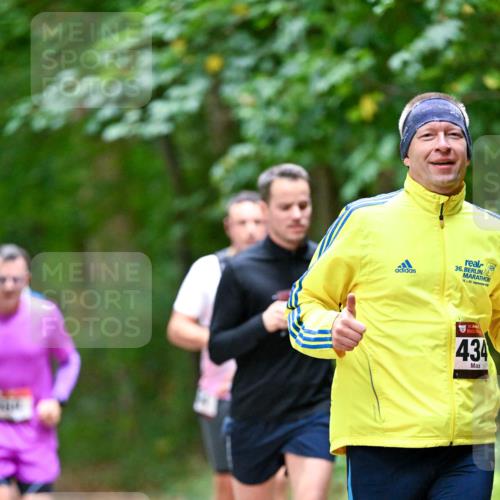 11.10.2026 - Bramfelder Halbmarathon 2026 Dr. Thomas Lammeyer http://msf.ph/oto/10816175 11.10.2026 09:51:57 Laufen 36, 1320, 200, 434 meine-sportfotos.de