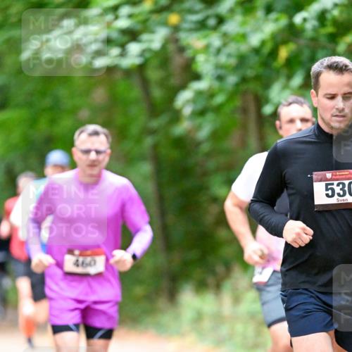11.10.2026 - Bramfelder Halbmarathon 2026 Dr. Thomas Lammeyer http://msf.ph/oto/10816181 11.10.2026 09:51:58 Laufen 460, 35, 530 meine-sportfotos.de