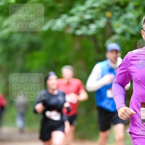 11.10.2026 - Bramfelder Halbmarathon 2026 Dr. Thomas Lammeyer http://msf.ph/oto/10816193 11.10.2026 09:52:00 Laufen  meine-sportfotos.de