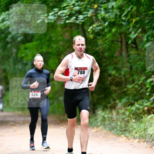 11.10.2026 - Bramfelder Halbmarathon 2026 Dr. Thomas Lammeyer http://msf.ph/oto/10816241 11.10.2026 09:52:09 Laufen 526, 788 meine-sportfotos.de
