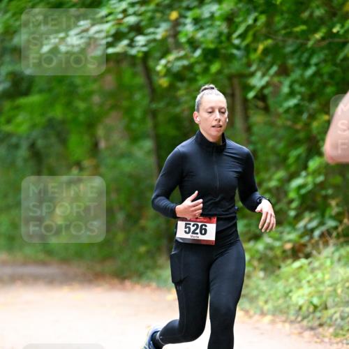 11.10.2026 - Bramfelder Halbmarathon 2026 Dr. Thomas Lammeyer http://msf.ph/oto/10816255 11.10.2026 09:52:12 Laufen 526 meine-sportfotos.de