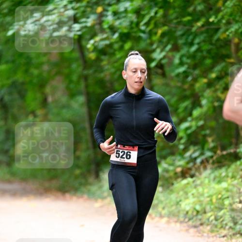 11.10.2026 - Bramfelder Halbmarathon 2026 Dr. Thomas Lammeyer http://msf.ph/oto/10816256 11.10.2026 09:52:12 Laufen 526 meine-sportfotos.de