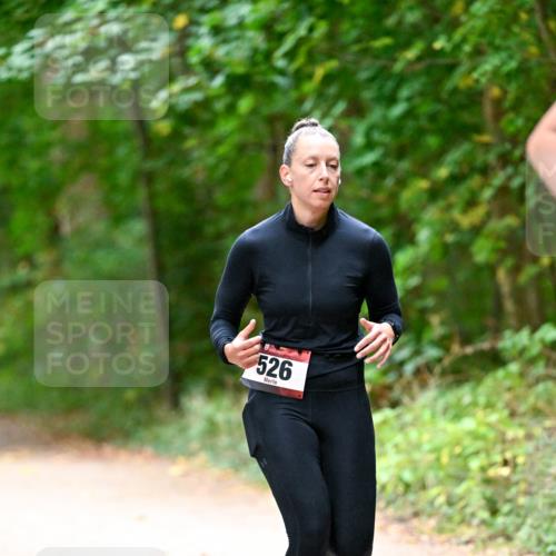 11.10.2026 - Bramfelder Halbmarathon 2026 Dr. Thomas Lammeyer http://msf.ph/oto/10816258 11.10.2026 09:52:12 Laufen 526 meine-sportfotos.de