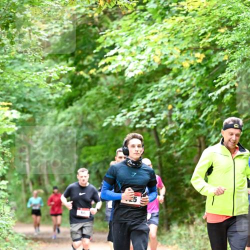 11.10.2026 - Bramfelder Halbmarathon 2026 Dr. Thomas Lammeyer http://msf.ph/oto/10816281 11.10.2026 09:52:27 Laufen 66 meine-sportfotos.de