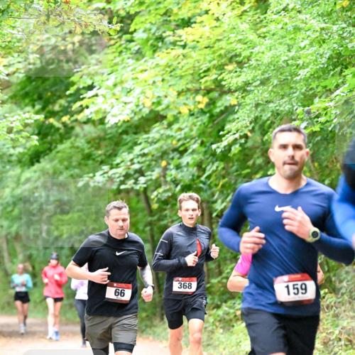 11.10.2026 - Bramfelder Halbmarathon 2026 Dr. Thomas Lammeyer http://msf.ph/oto/10816296 11.10.2026 09:52:30 Laufen 66, 368, 159 meine-sportfotos.de