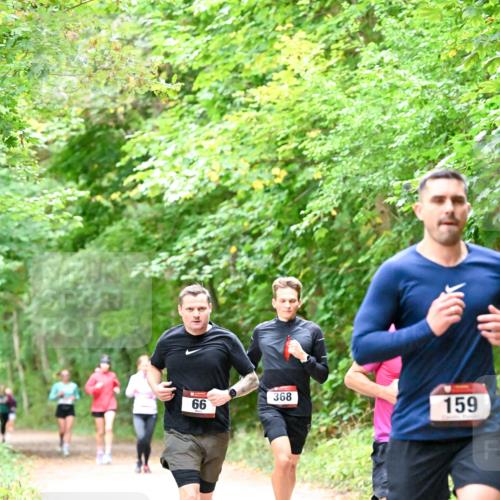 11.10.2026 - Bramfelder Halbmarathon 2026 Dr. Thomas Lammeyer http://msf.ph/oto/10816298 11.10.2026 09:52:30 Laufen 66, 368, 159 meine-sportfotos.de