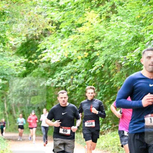 11.10.2026 - Bramfelder Halbmarathon 2026 Dr. Thomas Lammeyer http://msf.ph/oto/10816299 11.10.2026 09:52:30 Laufen 66, 368, 15 meine-sportfotos.de