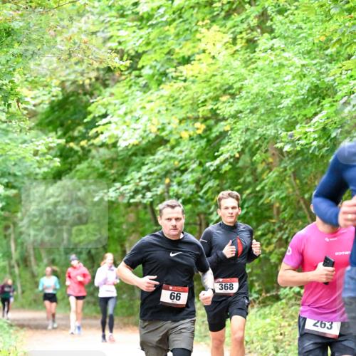 11.10.2026 - Bramfelder Halbmarathon 2026 Dr. Thomas Lammeyer http://msf.ph/oto/10816301 11.10.2026 09:52:30 Laufen 66, 368, 263 meine-sportfotos.de