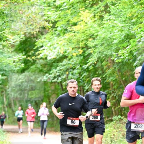 11.10.2026 - Bramfelder Halbmarathon 2026 Dr. Thomas Lammeyer http://msf.ph/oto/10816302 11.10.2026 09:52:31 Laufen 66, 368, 263 meine-sportfotos.de