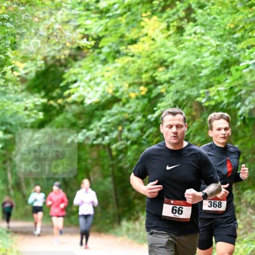 11.10.2026 - Bramfelder Halbmarathon 2026 Dr. Thomas Lammeyer http://msf.ph/oto/10816304 11.10.2026 09:52:31 Laufen 368, 95, 66 meine-sportfotos.de