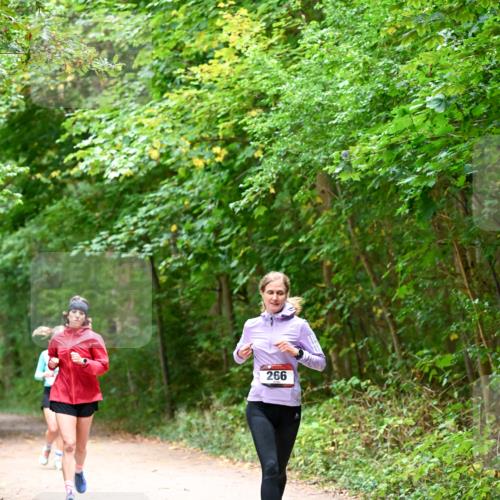 11.10.2026 - Bramfelder Halbmarathon 2026 Dr. Thomas Lammeyer http://msf.ph/oto/10816313 11.10.2026 09:52:35 Laufen 266 meine-sportfotos.de