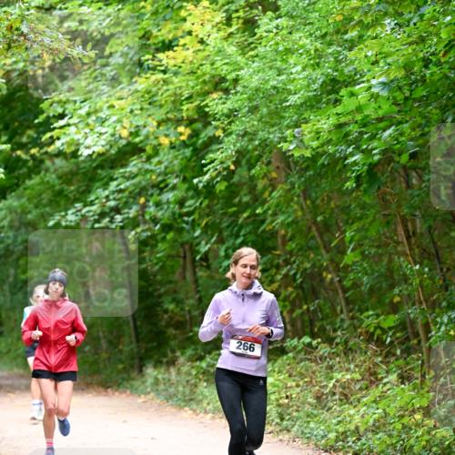11.10.2026 - Bramfelder Halbmarathon 2026 Dr. Thomas Lammeyer http://msf.ph/oto/10816314 11.10.2026 09:52:35 Laufen 266 meine-sportfotos.de