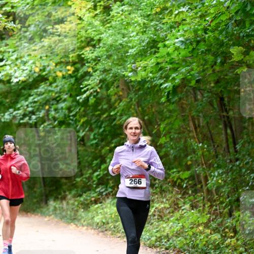 11.10.2026 - Bramfelder Halbmarathon 2026 Dr. Thomas Lammeyer http://msf.ph/oto/10816318 11.10.2026 09:52:36 Laufen 266 meine-sportfotos.de