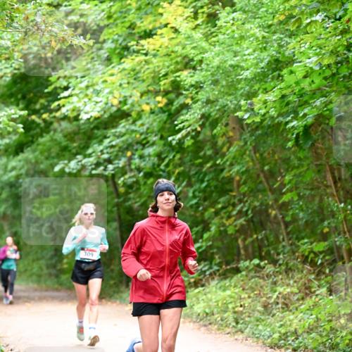 11.10.2026 - Bramfelder Halbmarathon 2026 Dr. Thomas Lammeyer http://msf.ph/oto/10816320 11.10.2026 09:52:37 Laufen 309 meine-sportfotos.de