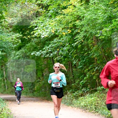 11.10.2026 - Bramfelder Halbmarathon 2026 Dr. Thomas Lammeyer http://msf.ph/oto/10816323 11.10.2026 09:52:38 Laufen 309 meine-sportfotos.de