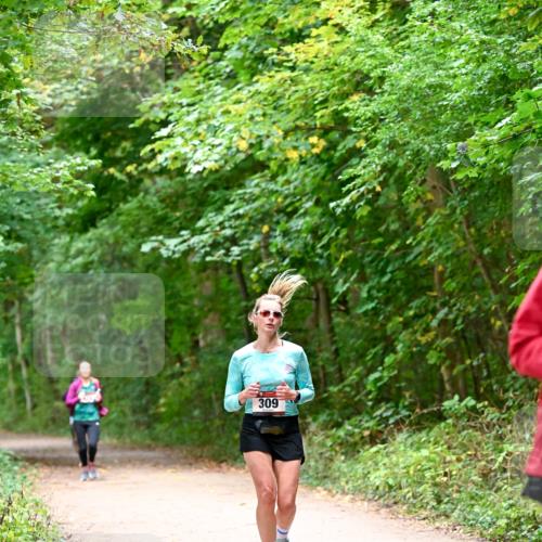 11.10.2026 - Bramfelder Halbmarathon 2026 Dr. Thomas Lammeyer http://msf.ph/oto/10816324 11.10.2026 09:52:38 Laufen 309 meine-sportfotos.de