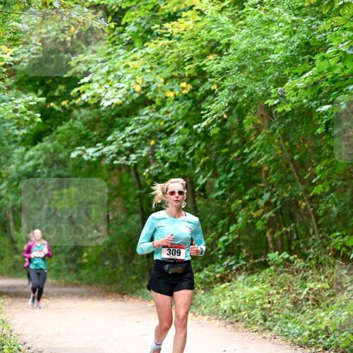 11.10.2026 - Bramfelder Halbmarathon 2026 Dr. Thomas Lammeyer http://msf.ph/oto/10816326 11.10.2026 09:52:38 Laufen 309 meine-sportfotos.de