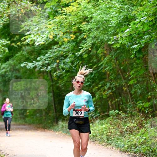 11.10.2026 - Bramfelder Halbmarathon 2026 Dr. Thomas Lammeyer http://msf.ph/oto/10816329 11.10.2026 09:52:39 Laufen 309 meine-sportfotos.de