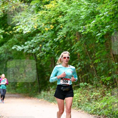 11.10.2026 - Bramfelder Halbmarathon 2026 Dr. Thomas Lammeyer http://msf.ph/oto/10816331 11.10.2026 09:52:39 Laufen 309 meine-sportfotos.de