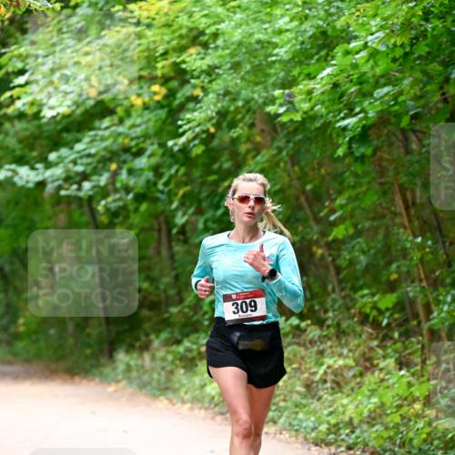 11.10.2026 - Bramfelder Halbmarathon 2026 Dr. Thomas Lammeyer http://msf.ph/oto/10816333 11.10.2026 09:52:39 Laufen 309 meine-sportfotos.de