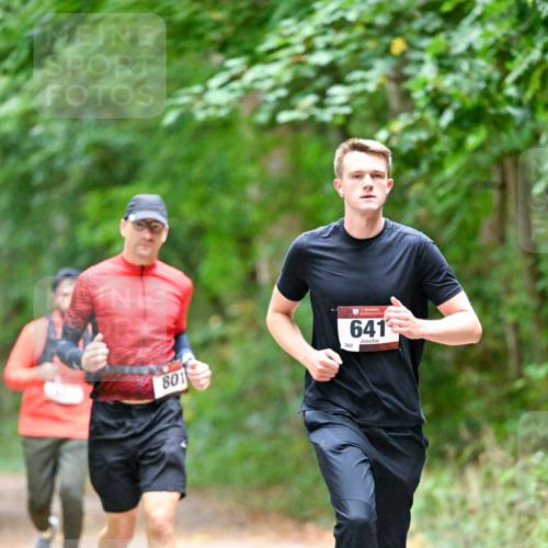 11.10.2026 - Bramfelder Halbmarathon 2026 Dr. Thomas Lammeyer http://msf.ph/oto/10816444 11.10.2026 09:53:10 Laufen 801, 260, 641 meine-sportfotos.de