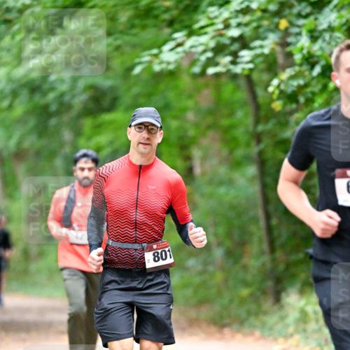11.10.2026 - Bramfelder Halbmarathon 2026 Dr. Thomas Lammeyer http://msf.ph/oto/10816446 11.10.2026 09:53:11 Laufen 6, 801 meine-sportfotos.de