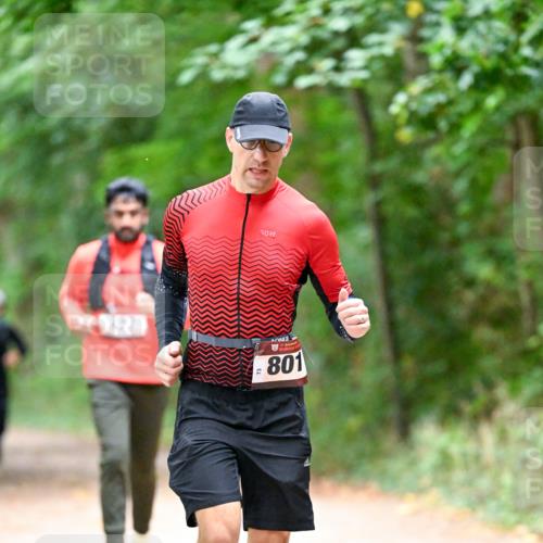 11.10.2026 - Bramfelder Halbmarathon 2026 Dr. Thomas Lammeyer http://msf.ph/oto/10816452 11.10.2026 09:53:12 Laufen 201, 123, 801 meine-sportfotos.de