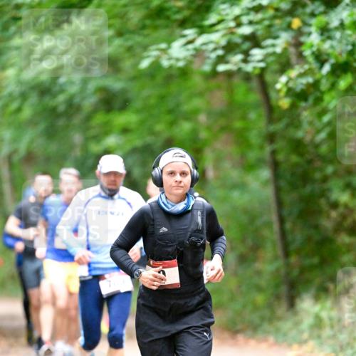 11.10.2026 - Bramfelder Halbmarathon 2026 Dr. Thomas Lammeyer http://msf.ph/oto/10816481 11.10.2026 09:53:20 Laufen 17 meine-sportfotos.de