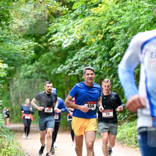 11.10.2026 - Bramfelder Halbmarathon 2026 Dr. Thomas Lammeyer http://msf.ph/oto/10816507 11.10.2026 09:53:25 Laufen 254, 36, 456, 258, 75 meine-sportfotos.de