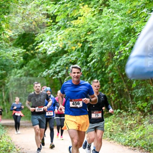 11.10.2026 - Bramfelder Halbmarathon 2026 Dr. Thomas Lammeyer http://msf.ph/oto/10816510 11.10.2026 09:53:25 Laufen 254, 636, 456, 288, 75 meine-sportfotos.de
