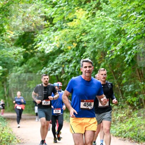 11.10.2026 - Bramfelder Halbmarathon 2026 Dr. Thomas Lammeyer http://msf.ph/oto/10816514 11.10.2026 09:53:26 Laufen 254, 636, 456, 288 meine-sportfotos.de
