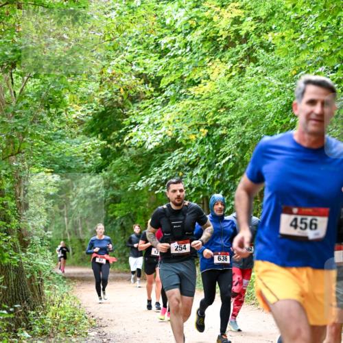 11.10.2026 - Bramfelder Halbmarathon 2026 Dr. Thomas Lammeyer http://msf.ph/oto/10816518 11.10.2026 09:53:27 Laufen 83, 254, 121, 636, 362, 456 meine-sportfotos.de