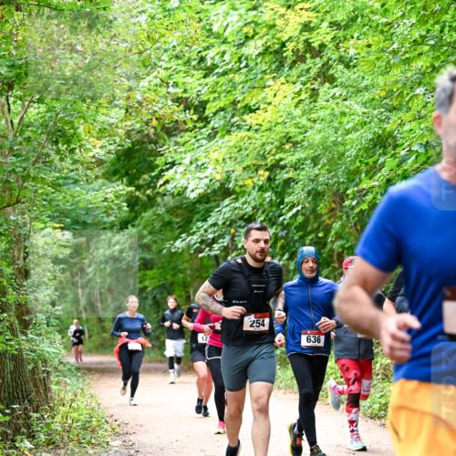 11.10.2026 - Bramfelder Halbmarathon 2026 Dr. Thomas Lammeyer http://msf.ph/oto/10816520 11.10.2026 09:53:27 Laufen 12, 254, 636 meine-sportfotos.de