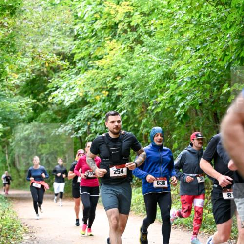 11.10.2026 - Bramfelder Halbmarathon 2026 Dr. Thomas Lammeyer http://msf.ph/oto/10816523 11.10.2026 09:53:27 Laufen 796, 254, 636, 362, 8 meine-sportfotos.de