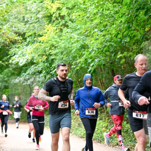 11.10.2026 - Bramfelder Halbmarathon 2026 Dr. Thomas Lammeyer http://msf.ph/oto/10816525 11.10.2026 09:53:28 Laufen 793, 254, 636, 36, 817 meine-sportfotos.de