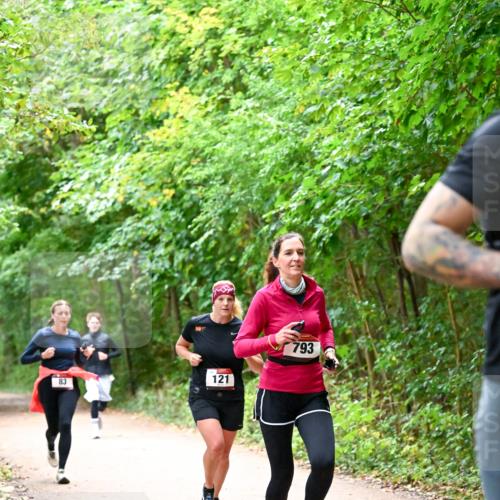 11.10.2026 - Bramfelder Halbmarathon 2026 Dr. Thomas Lammeyer http://msf.ph/oto/10816534 11.10.2026 09:53:29 Laufen 83, 121, 793 meine-sportfotos.de