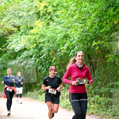 11.10.2026 - Bramfelder Halbmarathon 2026 Dr. Thomas Lammeyer http://msf.ph/oto/10816536 11.10.2026 09:53:29 Laufen 83, 121, 393 meine-sportfotos.de