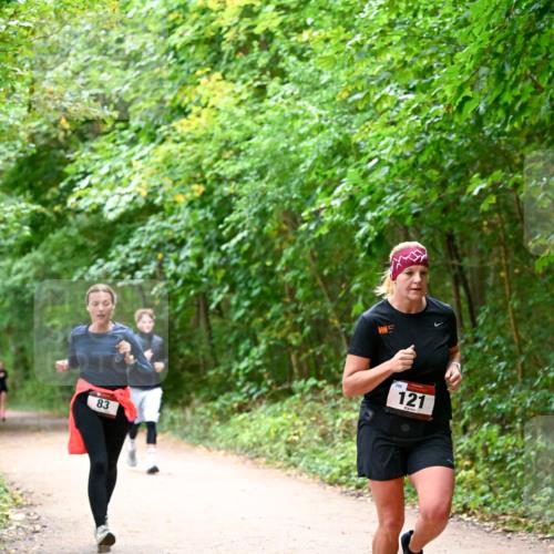 11.10.2026 - Bramfelder Halbmarathon 2026 Dr. Thomas Lammeyer http://msf.ph/oto/10816539 11.10.2026 09:53:30 Laufen 83, 298, 121 meine-sportfotos.de