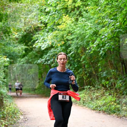 11.10.2026 - Bramfelder Halbmarathon 2026 Dr. Thomas Lammeyer http://msf.ph/oto/10816546 11.10.2026 09:53:32 Laufen 83 meine-sportfotos.de
