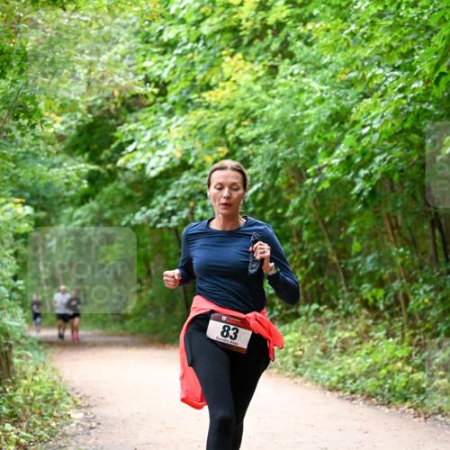 11.10.2026 - Bramfelder Halbmarathon 2026 Dr. Thomas Lammeyer http://msf.ph/oto/10816547 11.10.2026 09:53:32 Laufen 83 meine-sportfotos.de