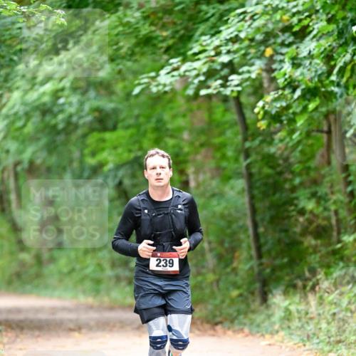 11.10.2026 - Bramfelder Halbmarathon 2026 Dr. Thomas Lammeyer http://msf.ph/oto/10816586 11.10.2026 09:53:45 Laufen 239 meine-sportfotos.de