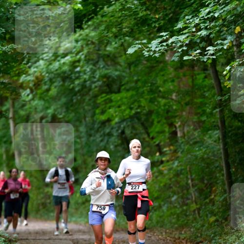 11.10.2026 - Bramfelder Halbmarathon 2026 Dr. Thomas Lammeyer http://msf.ph/oto/10816610 11.10.2026 09:53:54 Laufen 759, 227 meine-sportfotos.de
