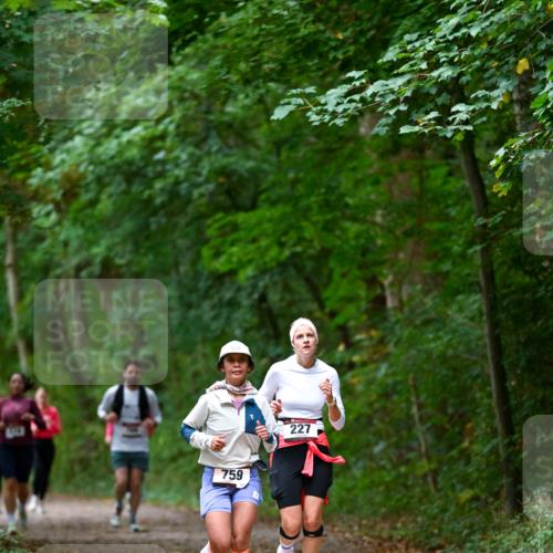 11.10.2026 - Bramfelder Halbmarathon 2026 Dr. Thomas Lammeyer http://msf.ph/oto/10816612 11.10.2026 09:53:55 Laufen 759, 227 meine-sportfotos.de