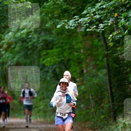 11.10.2026 - Bramfelder Halbmarathon 2026 Dr. Thomas Lammeyer http://msf.ph/oto/10816620 11.10.2026 09:53:56 Laufen 759 meine-sportfotos.de