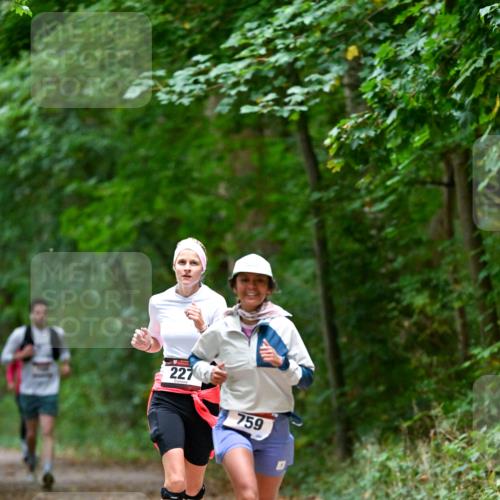 11.10.2026 - Bramfelder Halbmarathon 2026 Dr. Thomas Lammeyer http://msf.ph/oto/10816628 11.10.2026 09:53:57 Laufen 227, 759 meine-sportfotos.de