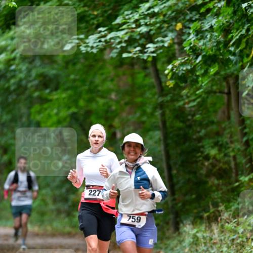 11.10.2026 - Bramfelder Halbmarathon 2026 Dr. Thomas Lammeyer http://msf.ph/oto/10816629 11.10.2026 09:53:57 Laufen 227, 759 meine-sportfotos.de