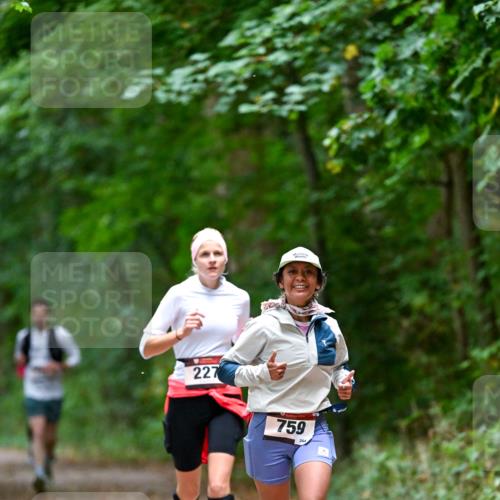 11.10.2026 - Bramfelder Halbmarathon 2026 Dr. Thomas Lammeyer http://msf.ph/oto/10816631 11.10.2026 09:53:57 Laufen 227, 759 meine-sportfotos.de